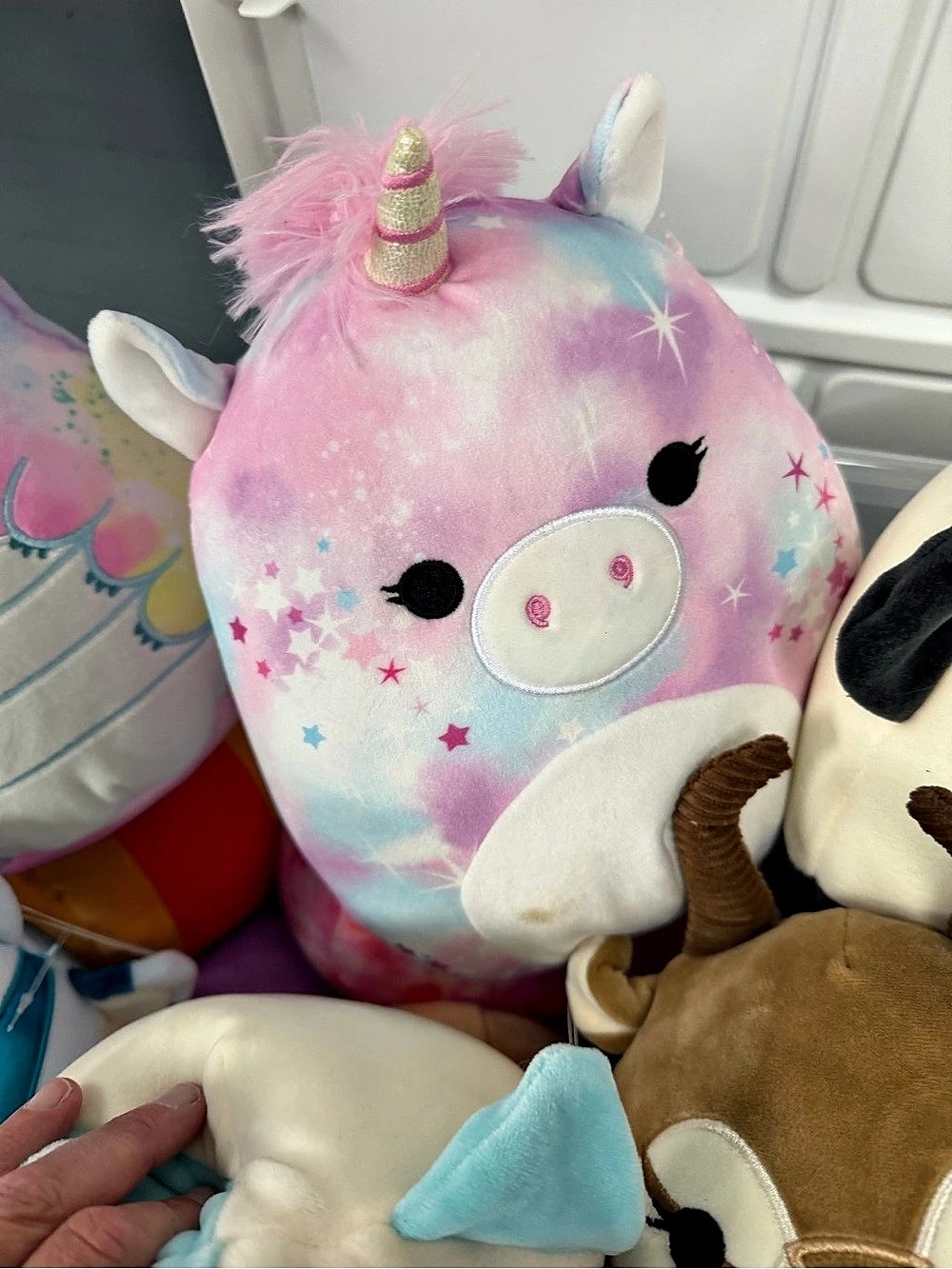 Squishmallows - Picture 6 of 7